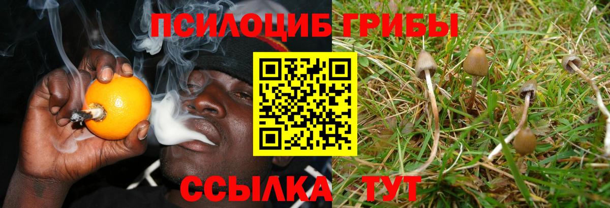 Галлюциногенные грибы Magic Shrooms Зеленодольск