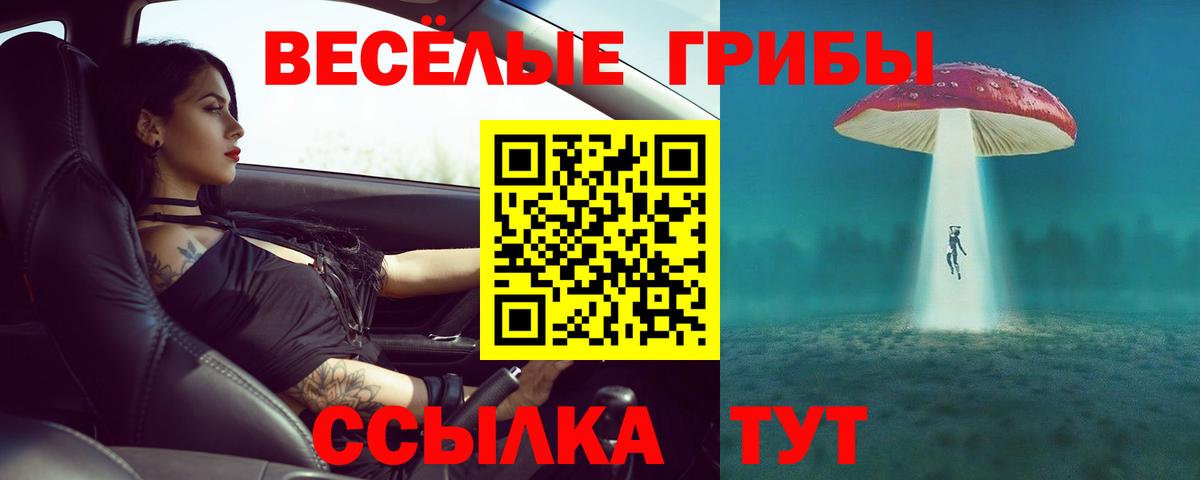 Псилоцибиновые грибы прущие грибы  Вход с VPN  Зеленодольск 
